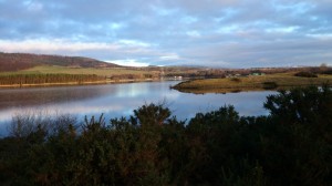 Lochore Meadows viewed from the Kelty side