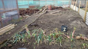 Allotment